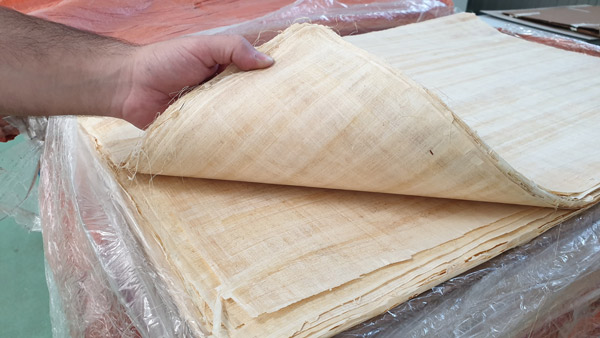 Papiro de Ani · cARTEm Exclusive